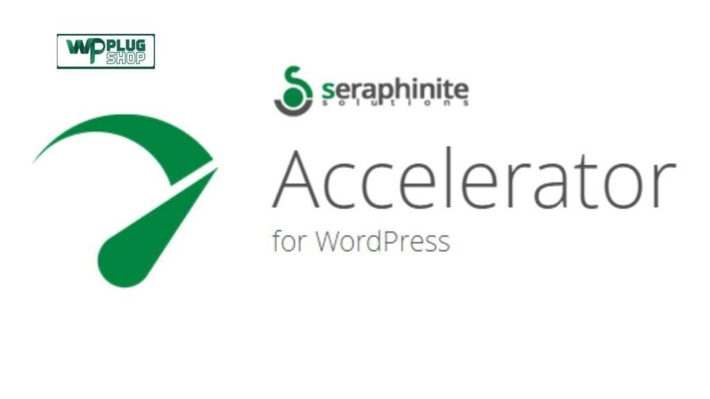 Seraphinite Accelerator