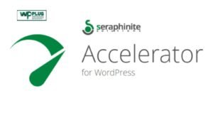 Seraphinite Accelerator