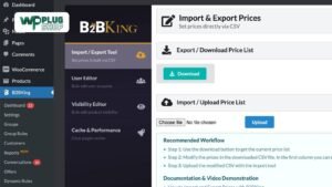 B2BKing