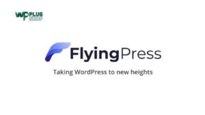 FlyingPress Pro