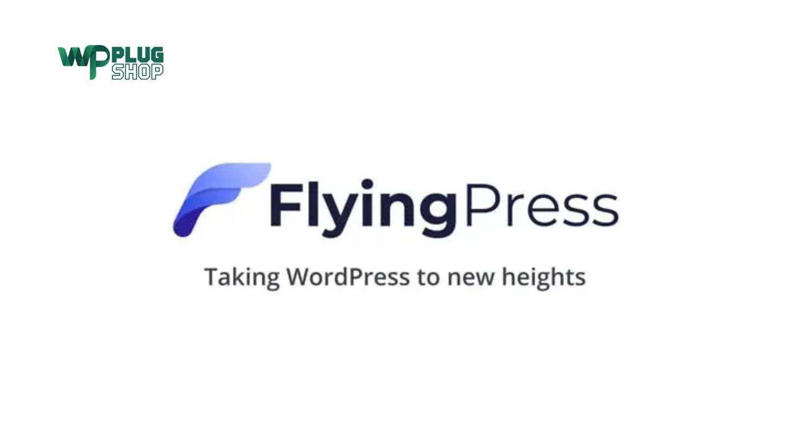 FlyingPress Pro