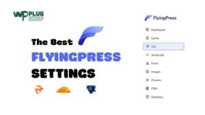 FlyingPress Pro