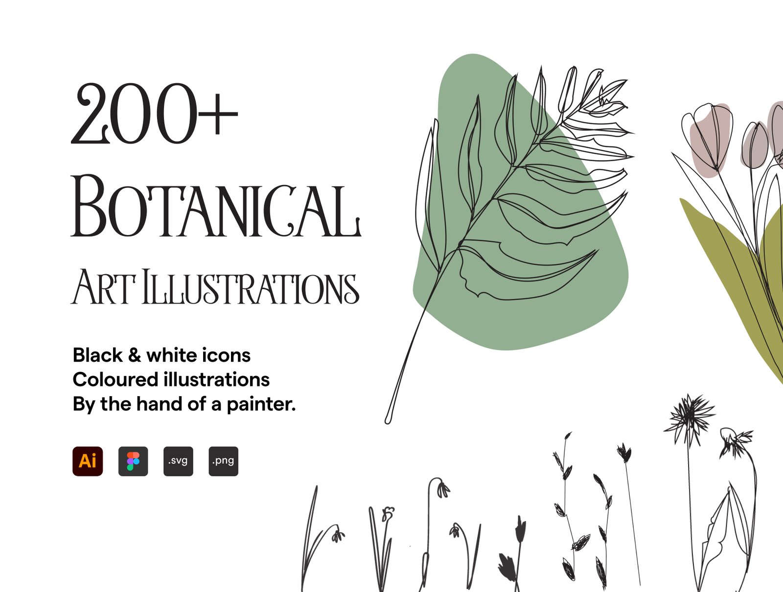 200 Botanicall Art Illustration Set 200 Botanical Art Illustration Set