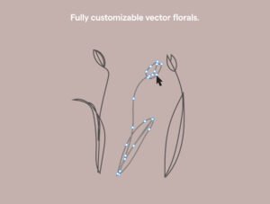 200 Botanical Art Illustration Set