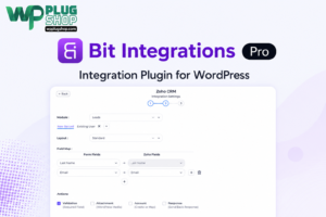 Bit Integrations Pro – WordPress Automation, WooCommerce Integration & Workflow Builder