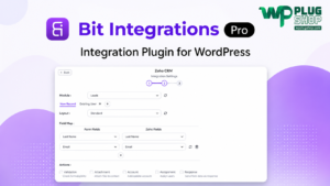Bit Integrations Pro – WordPress Automation and Integration Plugin