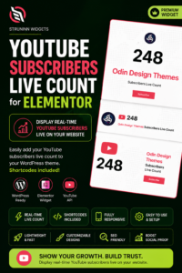 Struninn – YouTube Subscribers Live Count | Real-Time Counter for WordPress