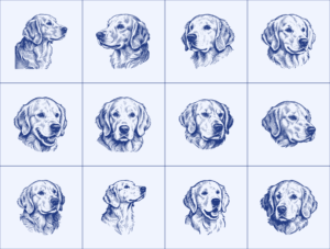 Cute Dog Illustration - Golden Retriever