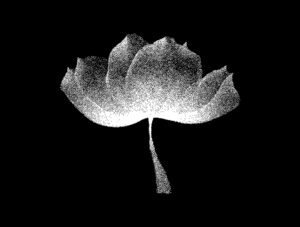 Dithering Bitmap Vector Shapes Collection