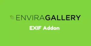 Envira Gallery EXIF Addon – Display Camera Metadata in WordPress Galleries