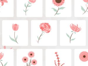 Floral Illustration Pack
