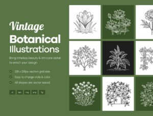 Floral and Botanical Illustration Set