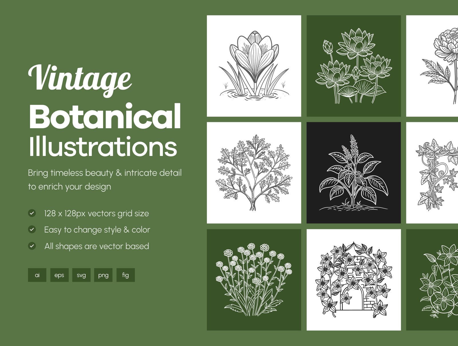 Floral and Botanical Illustration Set