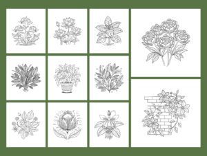 Floral and Botanical Illustration Set