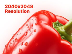 Food Ingredients Cutout Pack