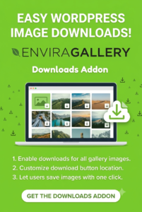 Envira Gallery Downloads Addon – Image & ZIP Downloads for WordPress