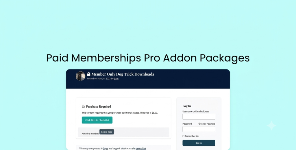 Paid Memberships Pro Addon Packages – Sell Premium Content with One-Time Purchases