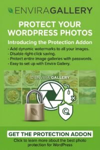 Envira Gallery Protection Addon – Secure WordPress Image Galleries