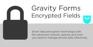 Gravity Forms Encrypted Fields Addon – Secure WordPress Form Data