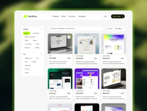 HubStore - Sell Digital Products & Membership Template