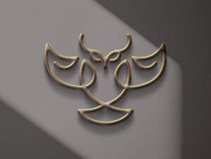 Light & Shadow Overlays Collection