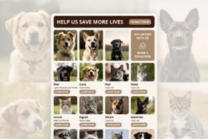 Pet Rescue – Animal Shelter & Charity WordPress Theme for Adoption, Donations & Nonprofit Organizations v2.2.0