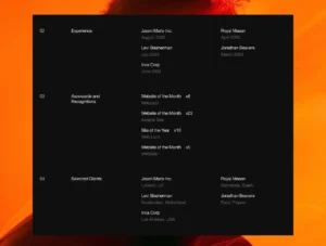 Vector Portfolio Website