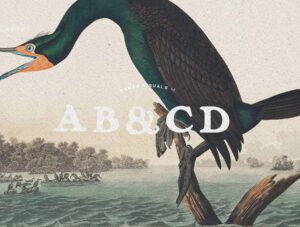 Vintage Logo Creator Kit – 20 Templates + Fonts + Illustrations