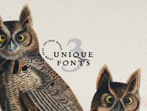 Vintage Logo Creator Kit – 20 Templates + Fonts + Illustrations