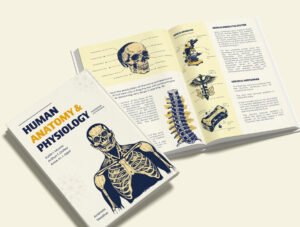 Vintage Medical illustrations