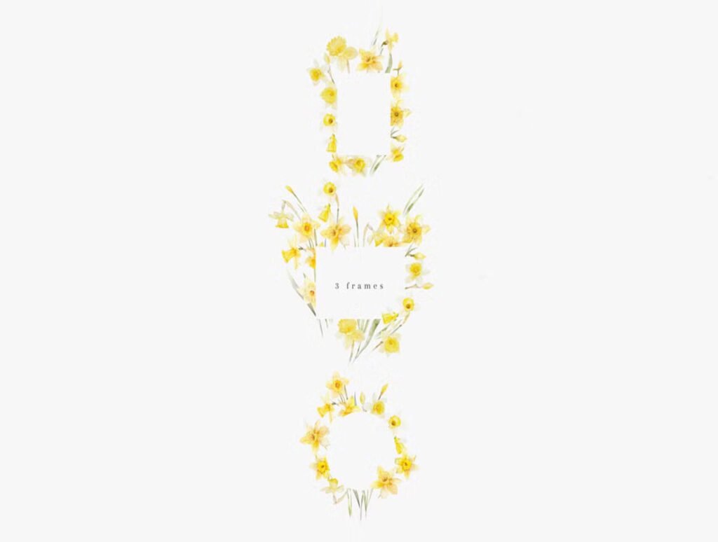 watercolor daffodil