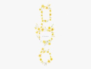 watercolor daffodil