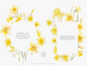 watercolor daffodil