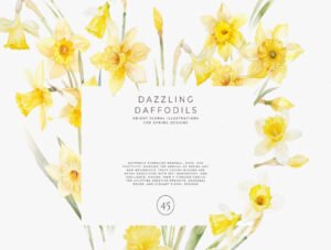 watercolor daffodil