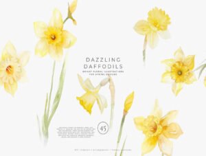 watercolor daffodil