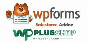 WPForms Salesforce Addon – Salesforce CRM Integration for WordPress Forms