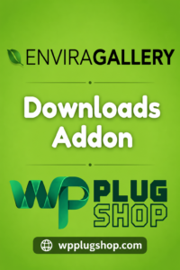 Envira Gallery Downloads Addon – Add Image Download Buttons to WordPress Galleries