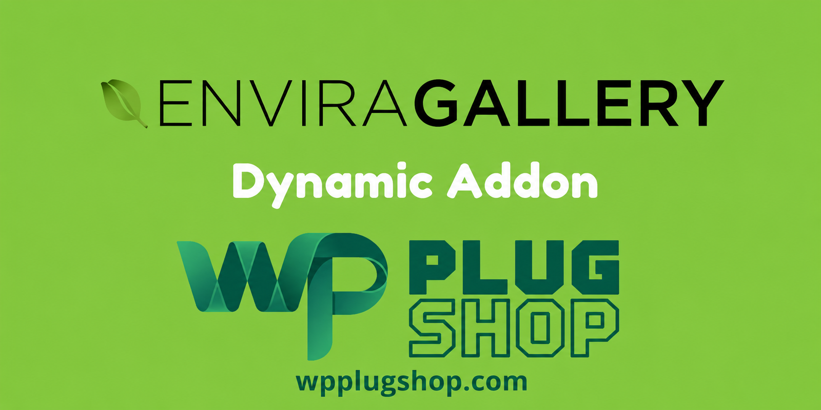 Envira Gallery Dynamic Addon – Create Dynamic WordPress Image Galleries