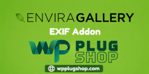 ChatGPT Image Jul 29, 2026, 04_51_22 PM Envira Gallery EXIF Addon – Display Camera & Photo Metadata in WordPress Galleries