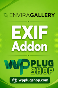 Envira Gallery EXIF Addon – Display Camera & Photo Metadata in WordPress Galleries