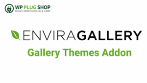 Envira Gallery Gallery Themes Addon – Premium WordPress Gallery Styling Extension