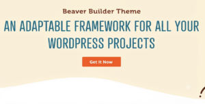 Beaver Builder Theme – Lightweight WordPress Framework for Agencies & Developers