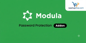 Modula Password Protection – Password Protect Gallery Extension for WordPress