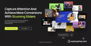Depicter WordPress Slider Plugin – Modern, Lightweight & High-Performance