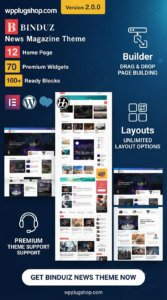 Binduz Theme 2.7.0 – Modern Blog, Magazine & Newspaper WordPress Theme for Professional Publishers