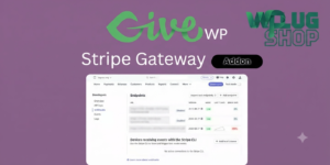 GiveWP Stripe Gateway – Secure Stripe Donations for WordPress