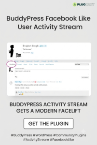BuddyPress Facebook Like User Activity Stream for WordPress – Personalized Community News Feed