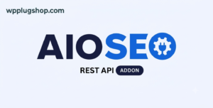 AIOSEO REST API Addon – WordPress SEO API for Headless & Developer Workflows