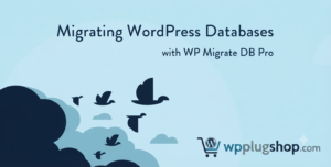 WP Migrate DB Pro – WordPress Site Migration Plugin