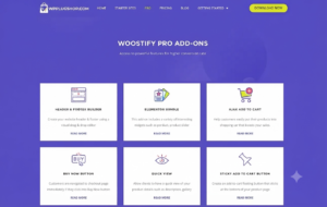 Woostify Pro Addons WooCommerce Plugin | Store Customization, UX & Conversion Toolkit